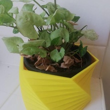 torsion planteur couverture gaine plante pot intérieur poly 3d print model - Mito3D