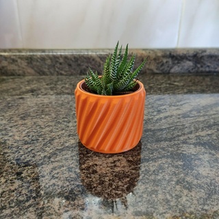 torcido linhas ikea mini cacto Panela vaso plantador minicactus decoração laranja plantar suculento torção colorida 3d print model - Mito3D