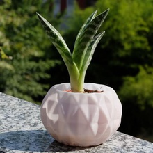 contorto arrotondato vaso pianta casa giardino giardinaggio geometria cactus 3d print model - Mito3D