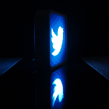 twitter lampada uccello twittare decorazione logo 3d print model - Mito3D