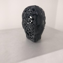 two-face art bust sculpture 3d print model - Mito3D