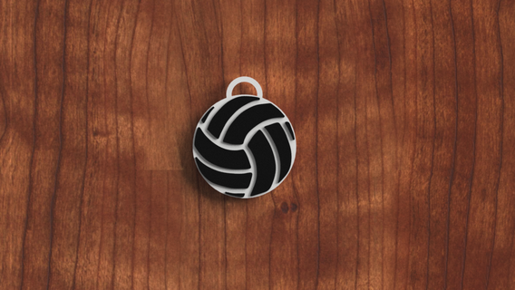 two colors volleyball key chain 3d print model - Mito3D