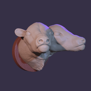 two headed cow magnet fridge animal weird strange art believe 3d print model - Mito3D