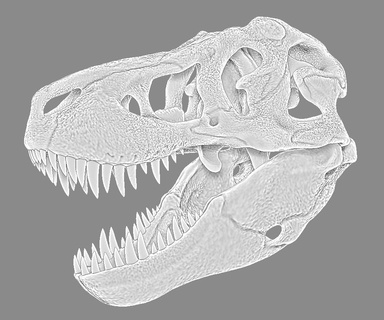 tyrannosaurus rex skull dinosaur theropod saurischian t-rex skeleton jurassic park world model realistic scientifically accurate 3d print model - Mito3D