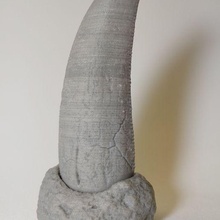 tirannosauro rex dente arte t fossile dinosauro 3d print model - Mito3D