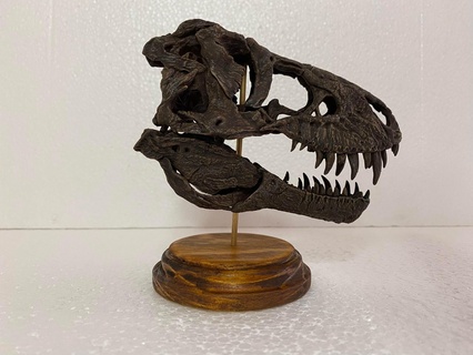 tiranossauro rex Tristão otto crânio espinossauro mussauro giganotossauro alossauro dinossauro esqueleto esquelético maiasaura triceratops estegossauro acrocantossauro biologia palontologia Ciência ossos 3d print model - Mito3D