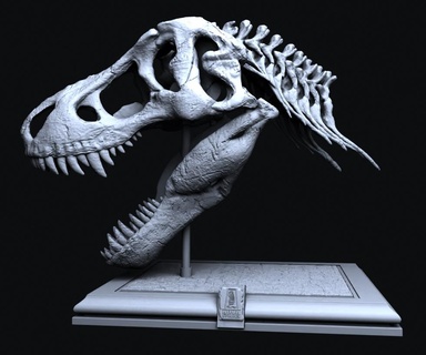 tiranossauro crânio dinossauro modelo t rex 3d paleontologia impressão entusiasta jurássico educacional Ciência Educação casa decoração colecionável fóssil réplica high detail digital baixar 3d print model - Mito3D