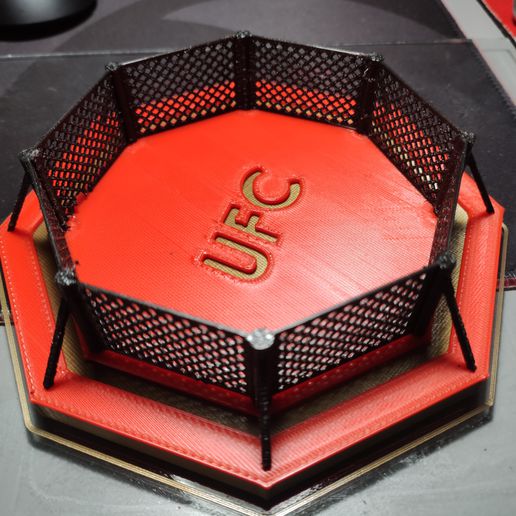 ufc octógono 3D print model - Mito3D