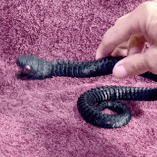 agitarse serpiente agitarse juguete flexi snake 3d print model - Mito3D