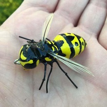 ultraleggero vespa richiamo vari sport all'aria aperta wasp pesca ultralight esca topwater hornet lure di 3d print model - Mito3D