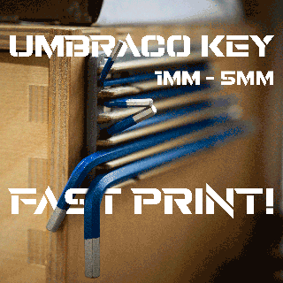 umbraco wall storage tools organiser magsafe magnets shop 3d print model - Mito3D