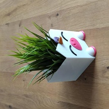 unicorn-at saksı seti ev tek boynuzlu at boynuz kit özelleştirmek özelleştirilebilir ekici bitki pot raimbow 3d print model - Mito3D