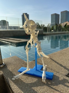 unicórnio katzilla esqueleto animal brinquedo fantasia 3d print model - Mito3D