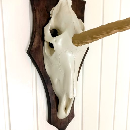 tek boynuzlu at kafatası avcılık ganimet Sanat Boynuz baş duvar dekor büyülü adam mağara hayvan rpg ürkütücü 3D print model - Mito3D