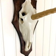 unicorno cranio caccia trofeo arte corno testa parete arredamento magico uomo grotta animale rpg macabro 3d print model - Mito3D