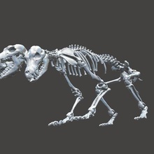 creature sconosciute cerberus scheletro gioco anatomica l'anatomia balljointed bjd corpo l'osso anatomia macroscopica mascella miniature mobile mitica altre scienze scheletrico il sistema cranio colonna vertebrale 3d print model - Mito3D