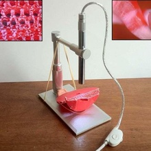 USB microscopio palcoscenico treppiedi montare gadget telecamera sperimentare scienza 3d print model - Mito3D