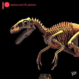 utahraptor ostrommaysorum skeleton 3d printing paleoart dinosaurs mammals animals nature 3d print model - Mito3D