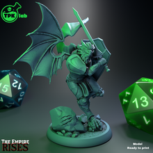 valkeen winged dragonborn paladin game ttrpg rpg tabletop miniature miniatures d&d dnd dungeons dragons fantasy fighter hero male 3d print model - Mito3D