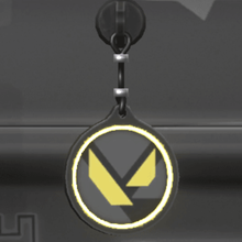 valorant keychain game amulet 3d print model - Mito3D