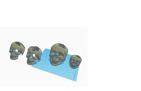 various aquarium skulls Various skull decorations 3d print model - Mito3D
