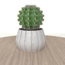 vaso pianta casa pentola fiori 3d print model - Mito3D