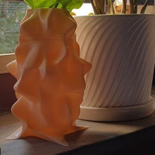vaso arte eccezionale divertimento fiori pianta arredamento falso impianti 3d print model - Mito3D