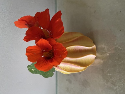 florero orgánico Arte Nouveau deco flor planta maceta naturaleza decoración bonita fácil 3d print model - Mito3D