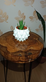 vaso suculento cacto ornamental plantas 3d print model - Mito3D