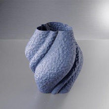 vase 0066 biologique 3d print model - Mito3D