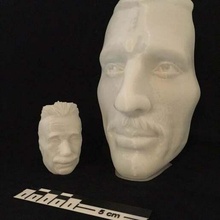 vase face - tesla einstein hollow illusion albert art count dracula nikola bust optical 3d print model - Mito3D