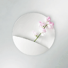 florero flor pared 3d print model - Mito3D