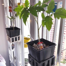 vase hook home windows mount plants pot plant 3d print model - Mito3D