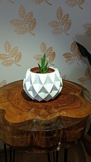 Vase einfügen Zuhause Haus saftig Kaktus dekorativ Pflanzen 3d print model - Mito3D