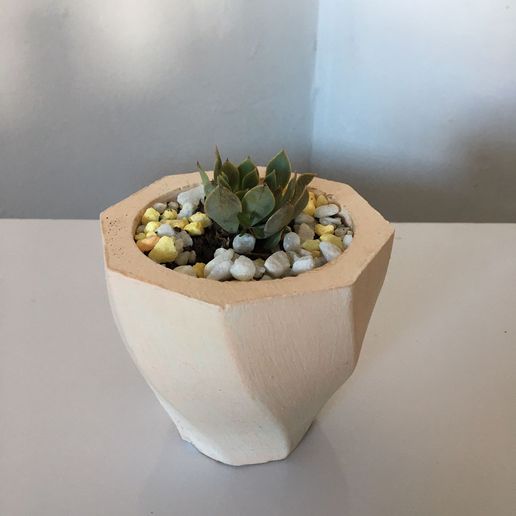 florero molde maceta ollas casa planta hormigón decoración aventurarse dinero 3D print model - Mito3D