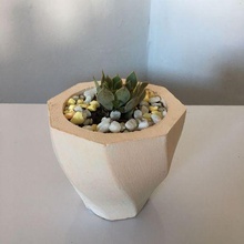 vase mold flowerpot pots house plant concret decor venture money 3d print model - Mito3D