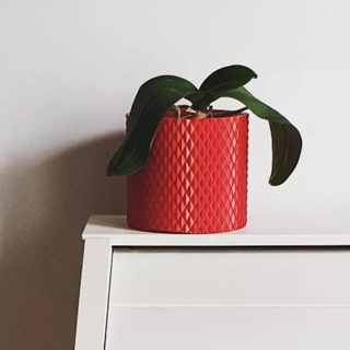 vase pot planteur cache 1 maison jardin art jardinage 3d print model - Mito3D