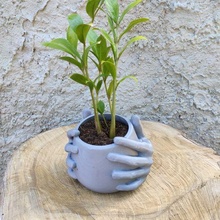 Vase gestalten Hand Pflanze 3d drucken Modell 3d print model - Mito3D