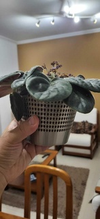 Vase Besondere 3d print model - Mito3D