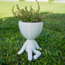 jarrón de estilo robert plant.casa.el vocalista.relajarse.humanos.planta.lindo 3d print model - Mito3D