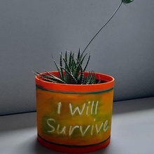 vase survive art earth garden funny green plant decor decorate 3d print model - Mito3D