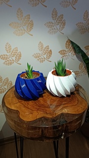 florero giro suculento cactus ornamental plantas 3d print model - Mito3D