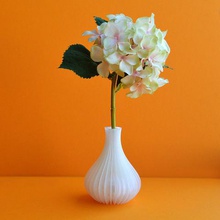 vases home 3d print model - Mito3D