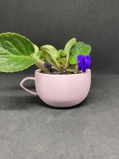 vaso taza vaso taza jugoso planta arvore jardín verde coste flete casa jardinero fabricante 3d print model - Mito3D