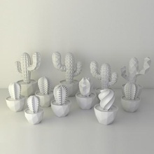 vectary saftige Familie home Kakteen diy tutorial minimalistisch decor 3d-drucken 3d-Struktur Anlage 3d print model - Mito3D