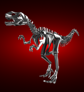 veloceraptor skeleton dinosaur raptor lowpoly 3d print model - Mito3D