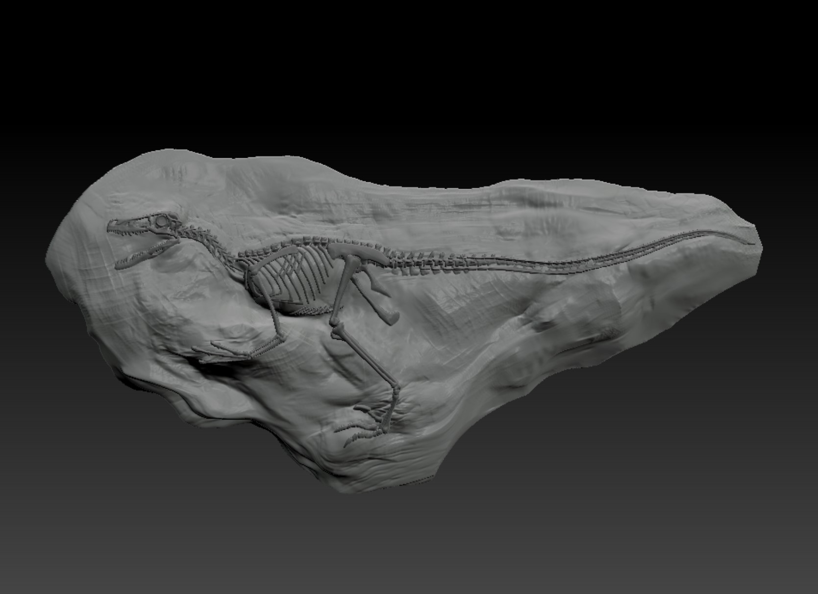 velociraptor fósil rock 3d esqueleto raptor dinosaurio jurásico huesos bosque 3D print model - Mito3D
