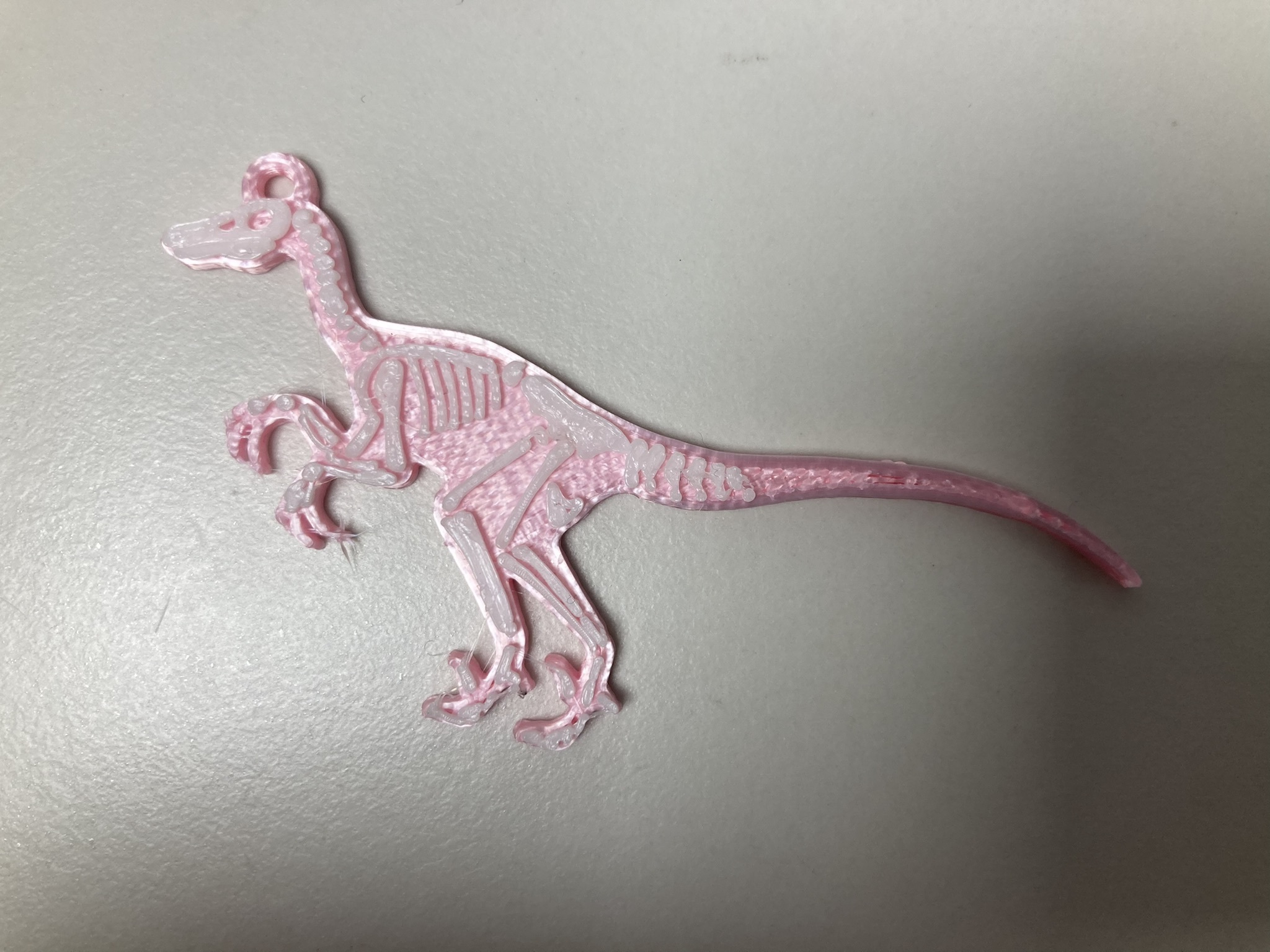 vélociraptor porte clés Collier pendentif dinosaure squelette 3D print model - Mito3D