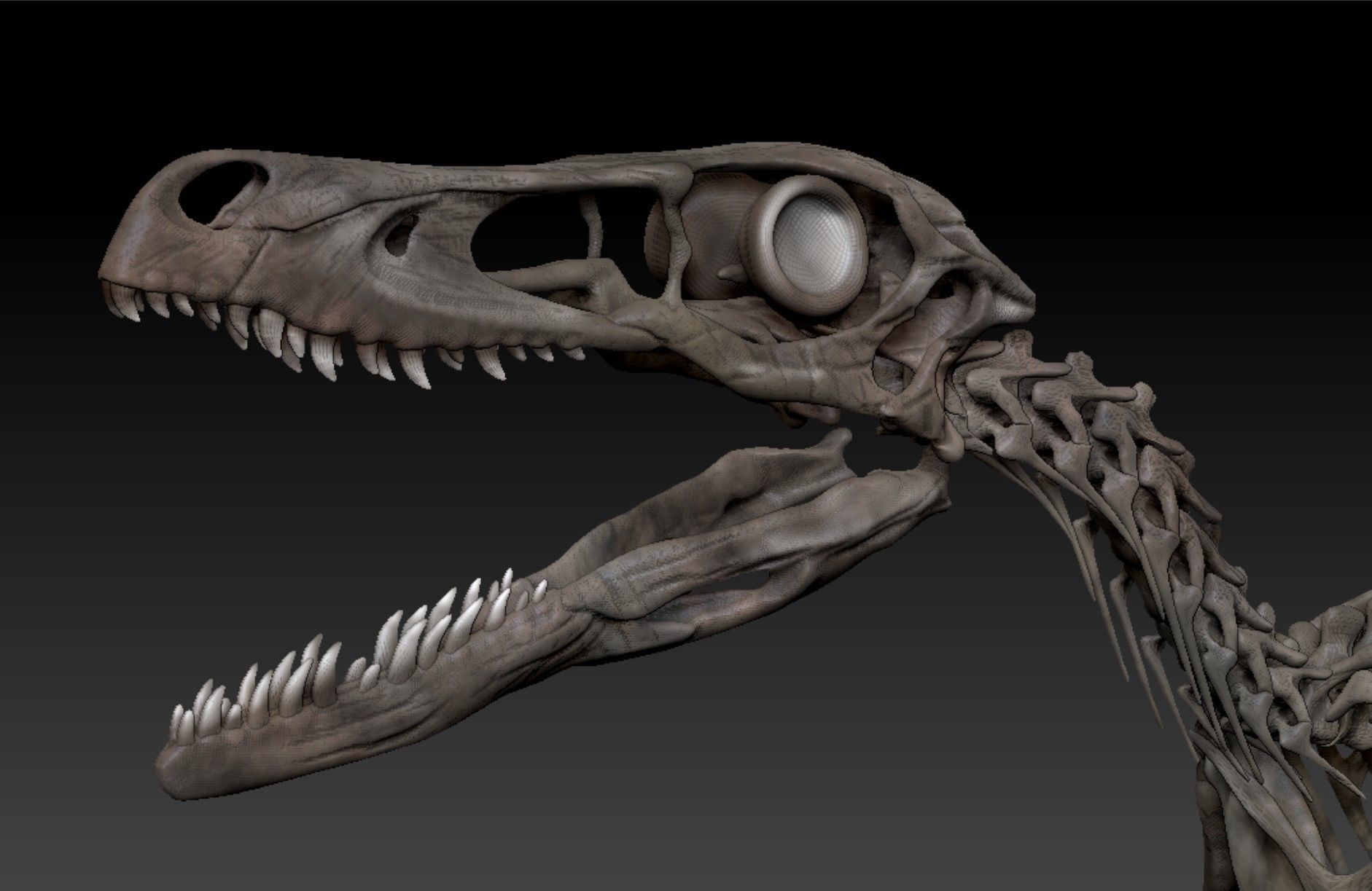 velociraptor esqueleto completo 3d raptor dinosaurio huesos fósil bosque 3D print model - Mito3D
