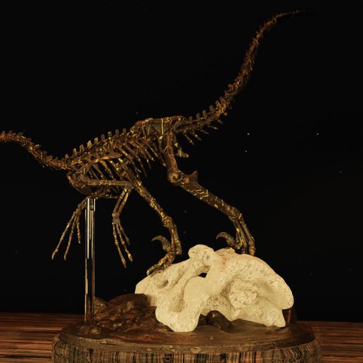 Velociraptor Skelett Diorama rex Kunst Schädel Schiff Kopf Knochen Roboter Wirbelsäule jurassisch Dino Reptil Miniaturen Figuren 3D print model - Mito3D